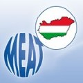 meat logo.jpg